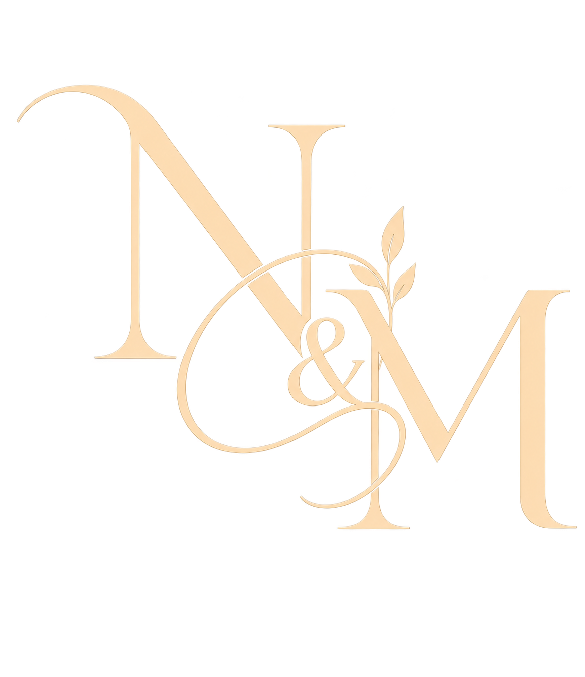 Naman and Meenakshi Wedding Monogram